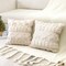 Set of 2 Xmas Soft Plush Short Wool Velvet Decorative Throw Pillow Covers Square Luxury Style Cushion Case Pillow Shell for Sofa Bedroom Christmas Tree and Elk Cream Beige, 20x20 Inch